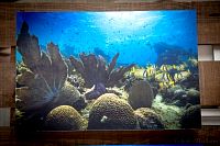 30012019atlantis_mike_expo201991.jpg
