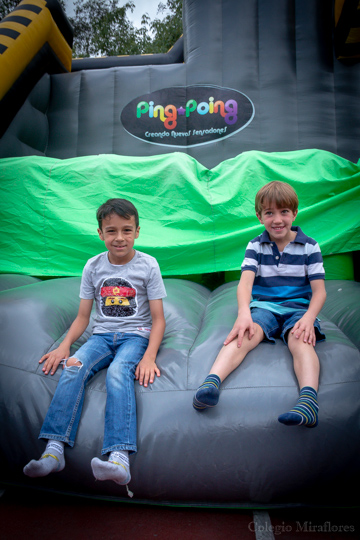 Ir a la Siguiente Foto