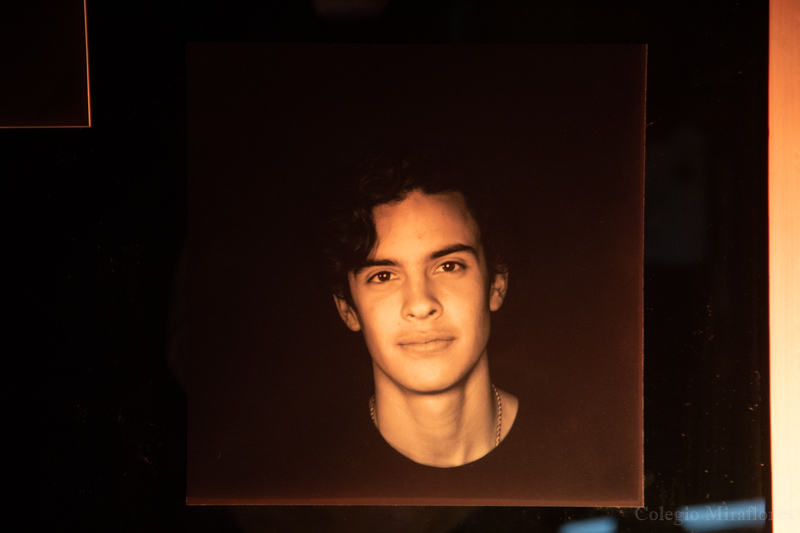 Ir a la Siguiente Foto