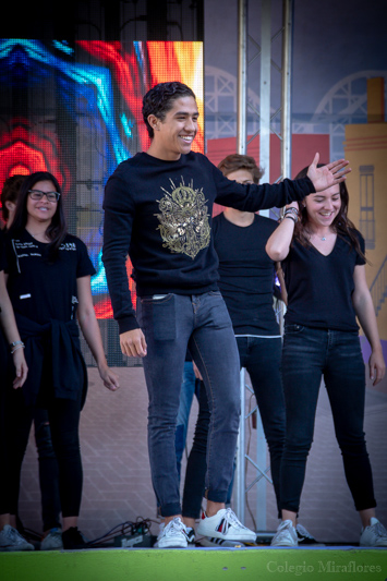 Ir a la Siguiente Foto