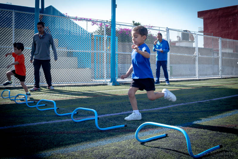 Ir a la Siguiente Foto