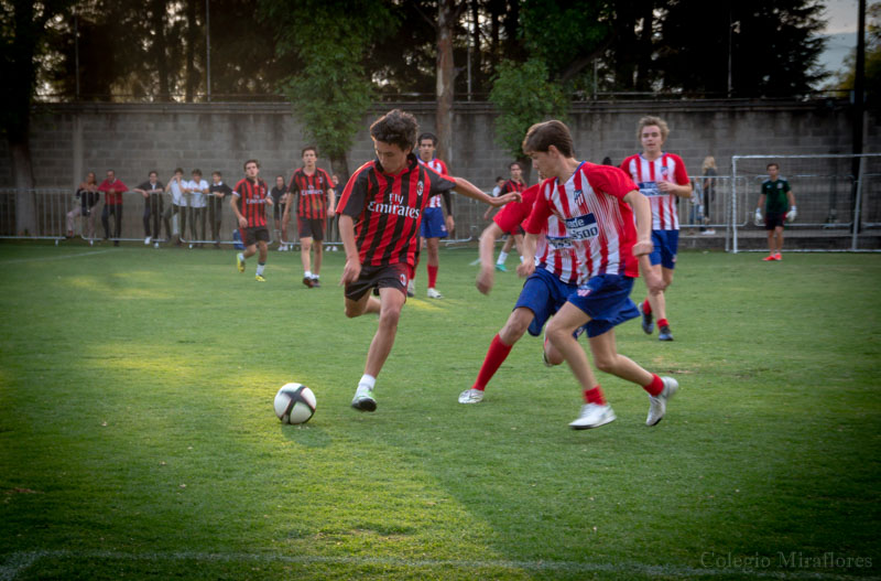 Ir a la Siguiente Foto