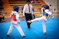 27032019mundialito_taekwondo2019108.jpg