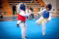 27032019mundialito_taekwondo2019109.jpg