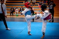 27032019mundialito_taekwondo2019116.jpg