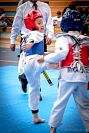 27032019mundialito_taekwondo2019131.jpg