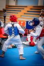 27032019mundialito_taekwondo2019151.jpg