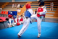 27032019mundialito_taekwondo2019153.jpg