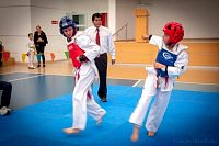 27032019mundialito_taekwondo2019242.jpg