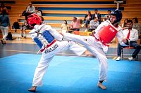 27032019mundialito_taekwondo2019245.jpg