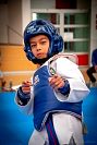 27032019mundialito_taekwondo2019282.jpg