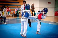 27032019mundialito_taekwondo2019283.jpg