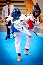 27032019mundialito_taekwondo2019288.jpg