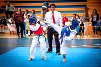 27032019mundialito_taekwondo2019293.jpg