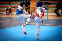 27032019mundialito_taekwondo201929.jpg