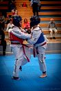 27032019mundialito_taekwondo2019303.jpg