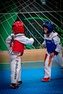 27032019mundialito_taekwondo2019315.jpg