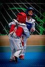 27032019mundialito_taekwondo2019316.jpg