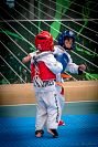 27032019mundialito_taekwondo2019317.jpg