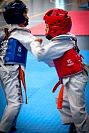 27032019mundialito_taekwondo2019323.jpg