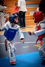 27032019mundialito_taekwondo2019326.jpg