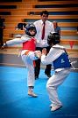 27032019mundialito_taekwondo201932.jpg