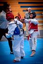 27032019mundialito_taekwondo2019335.jpg