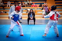 27032019mundialito_taekwondo2019337.jpg