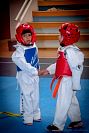 27032019mundialito_taekwondo2019355.jpg