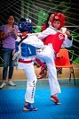 27032019mundialito_taekwondo2019365.jpg