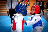 27032019mundialito_taekwondo2019414.jpg