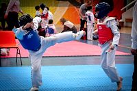 27032019mundialito_taekwondo201941.jpg