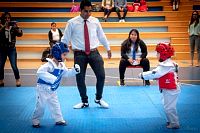 27032019mundialito_taekwondo2019420.jpg