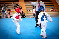 27032019mundialito_taekwondo2019428.jpg