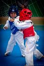 27032019mundialito_taekwondo2019431.jpg