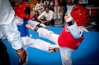 27032019mundialito_taekwondo2019444.jpg