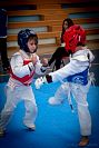 27032019mundialito_taekwondo2019465.jpg