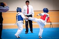 27032019mundialito_taekwondo201954.jpg