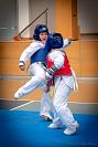 27032019mundialito_taekwondo201959.jpg