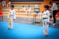 27032019mundialito_taekwondo20195.jpg
