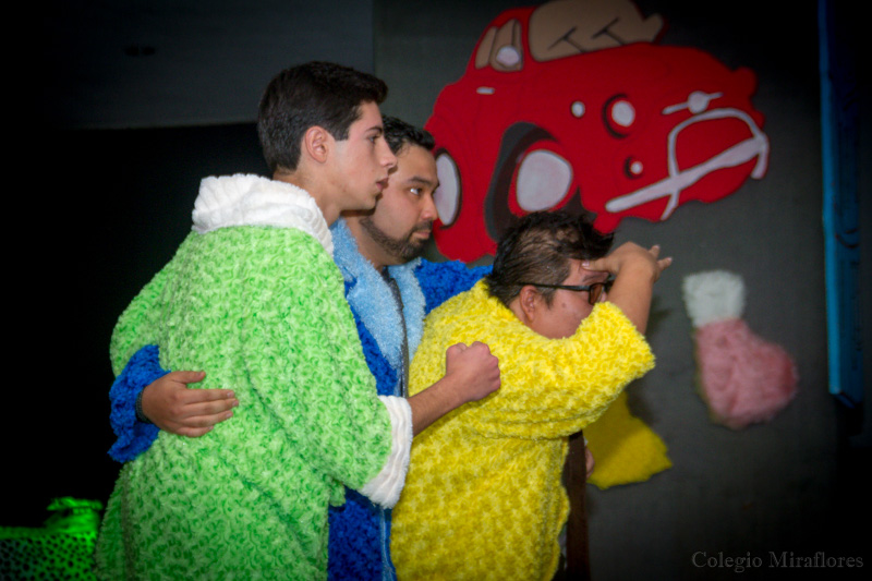 Ir a la Siguiente Foto