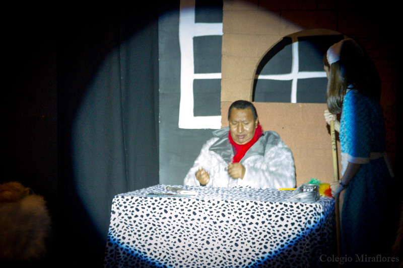 Ir a la Siguiente Foto