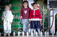 08122018posada2018285.jpg