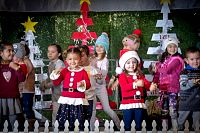 08122018posada2018304.jpg