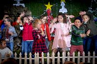 08122018posada2018318.jpg