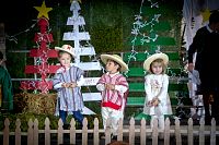 08122018posada2018361.jpg