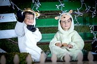 08122018posada2018412.jpg