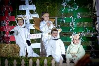08122018posada2018416.jpg
