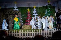 08122018posada2018431.jpg