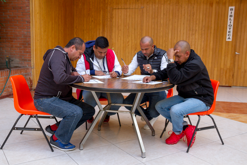 Ir a la Siguiente Foto